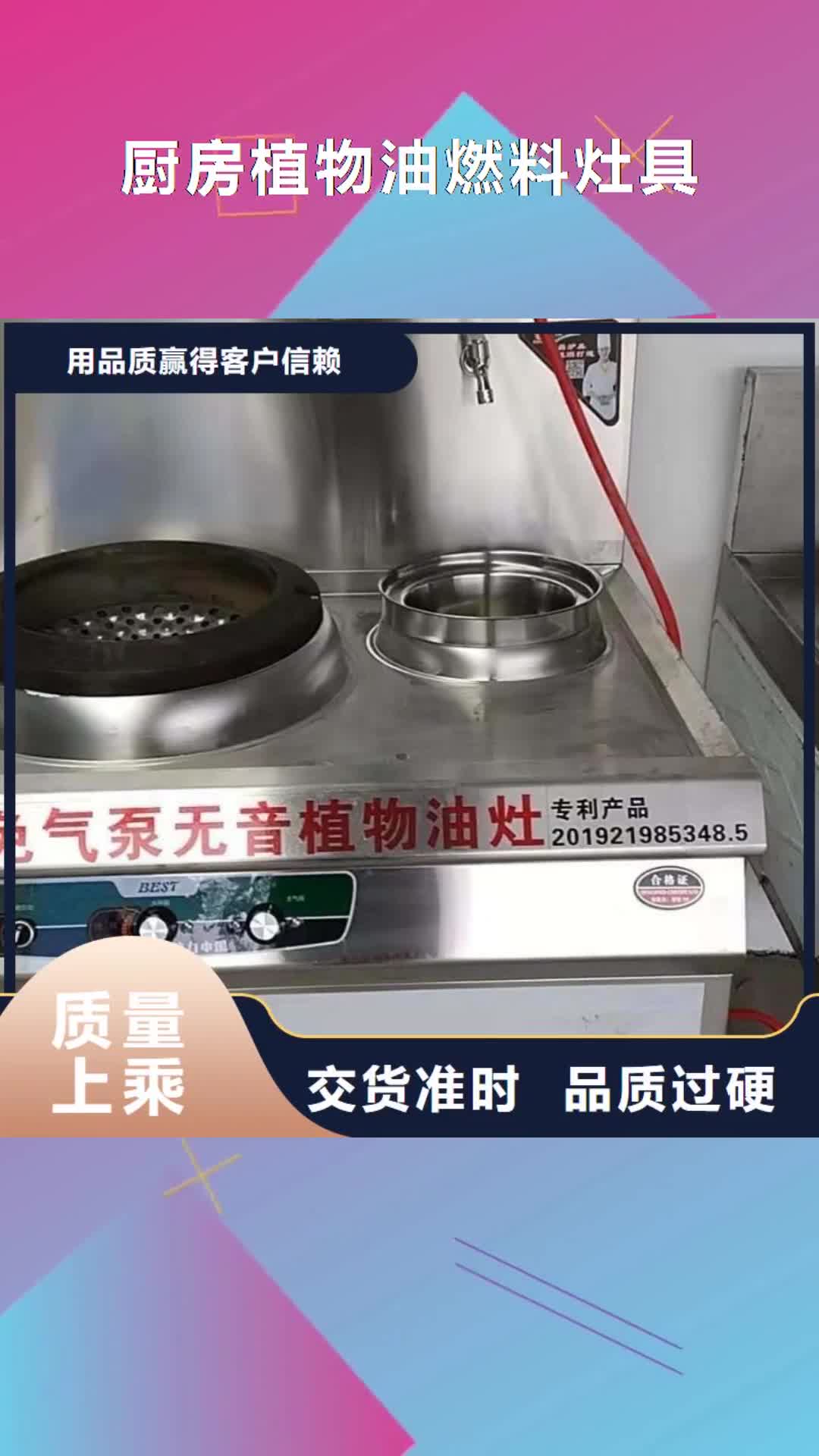 漳州厨房植物油燃料灶具价格实惠工厂直供