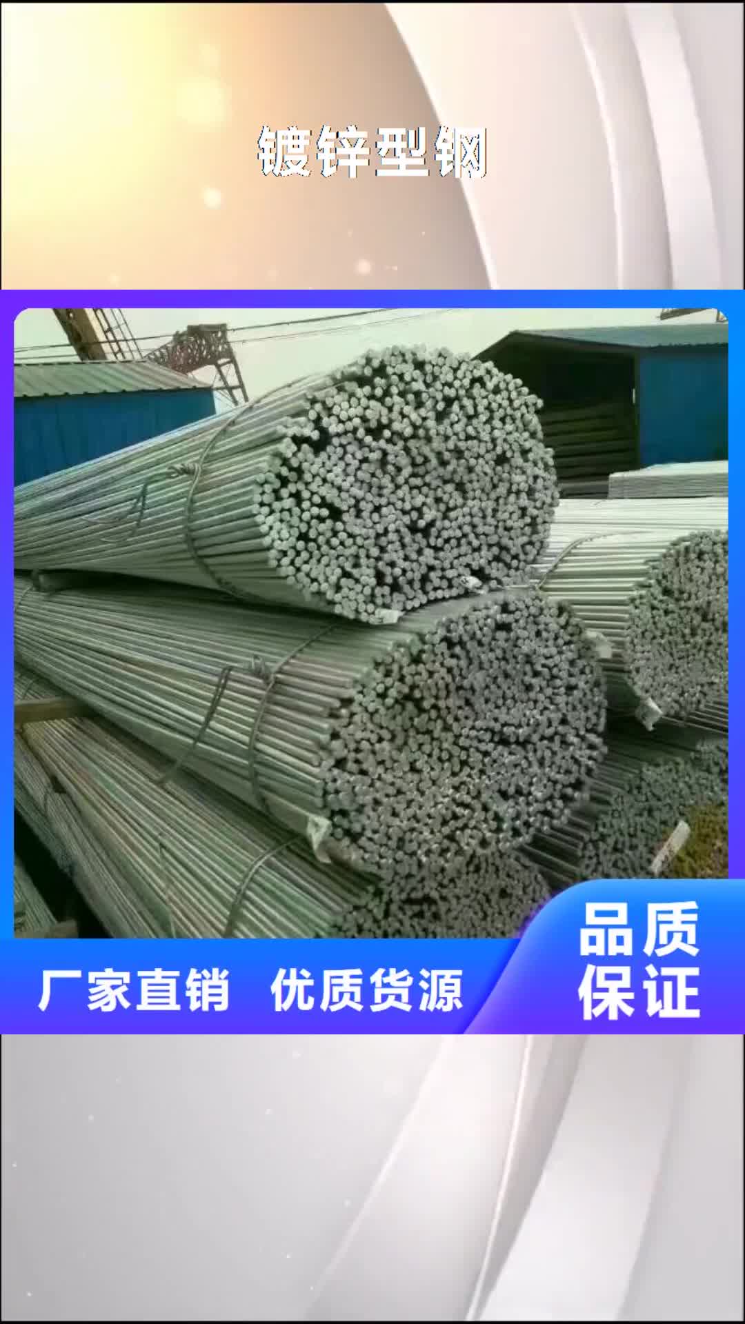 许昌 镀锌型钢【H型钢抛丸喷漆】品质保障价格合理