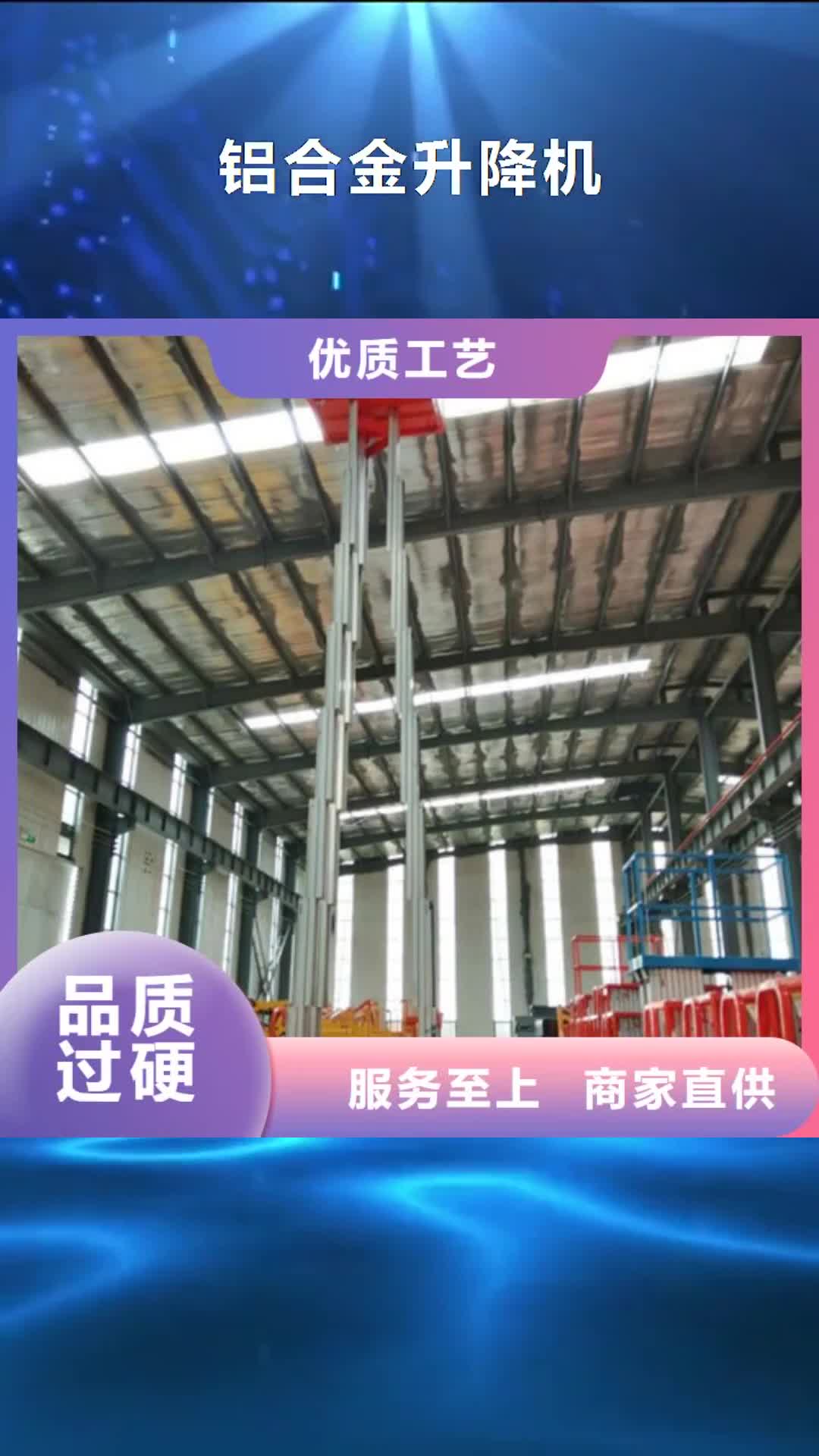 凉山【铝合金升降机】-导轨式液压升降货梯厂家厂家定制