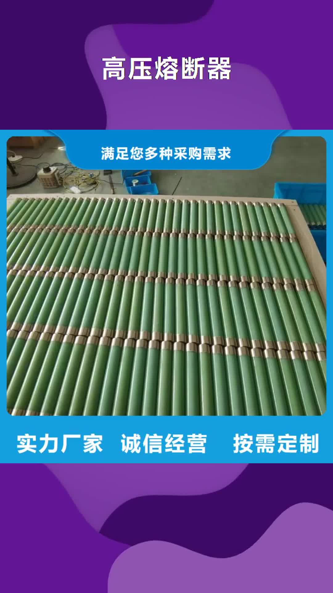 大同【高压熔断器】 高压保险丝保险管质量优选