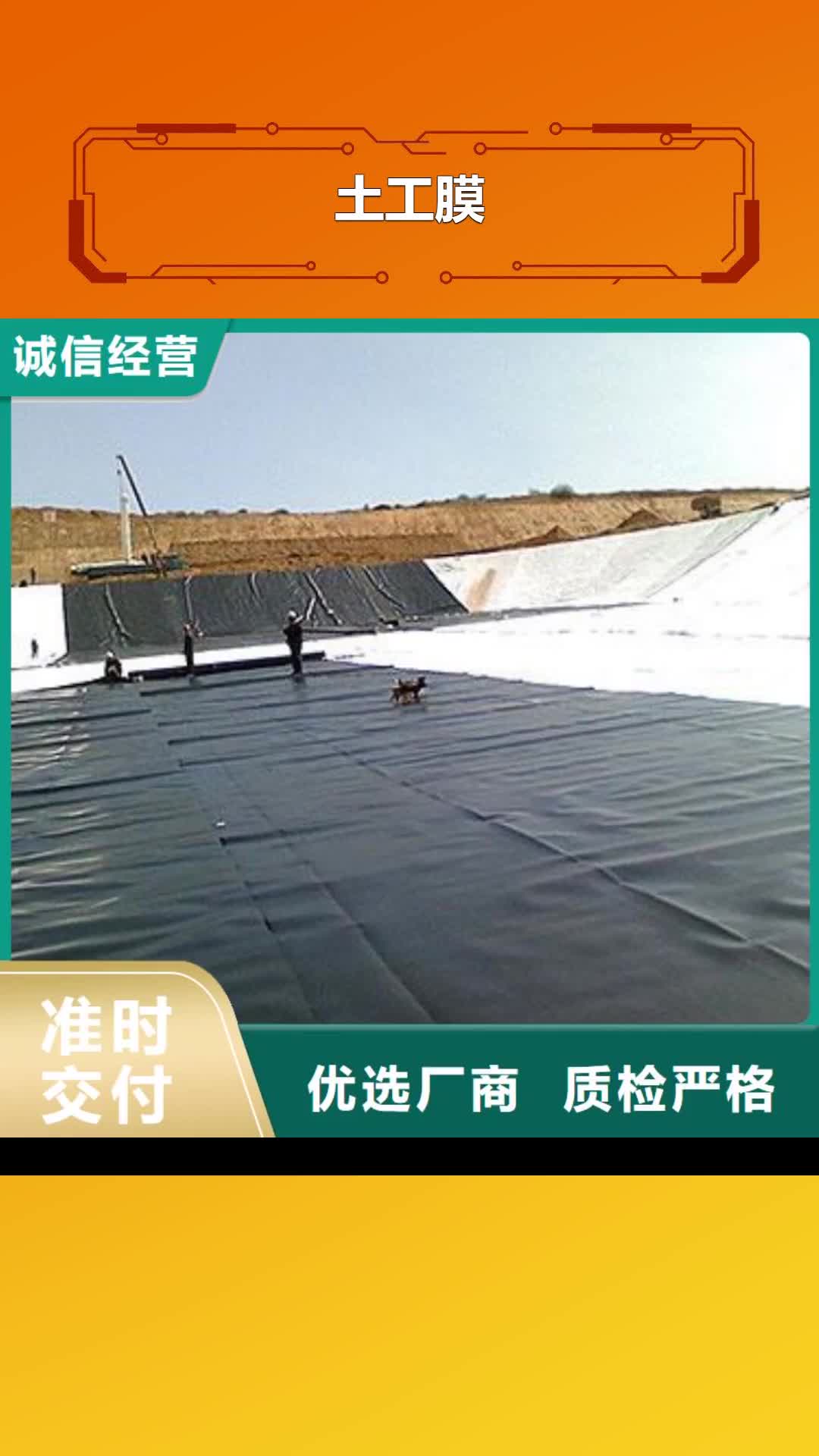 【山南 土工膜 膨润土防水毯厂家供应】