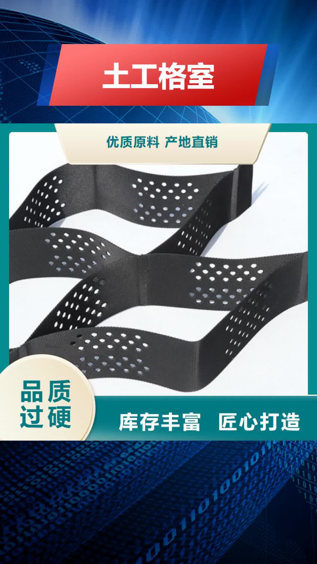 成都 土工格室-【单向拉伸塑料格栅】您身边的厂家