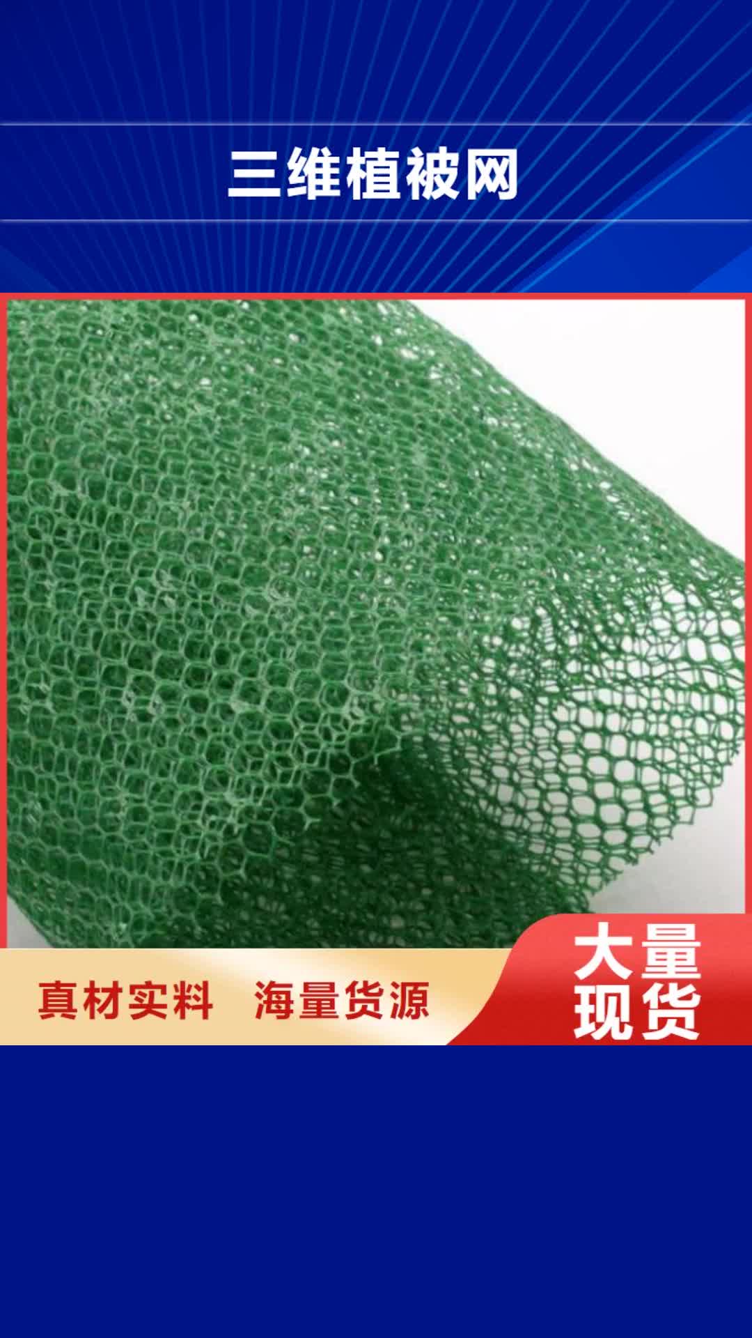 【无锡 三维植被网-塑料排水板厂家直销供货稳定】