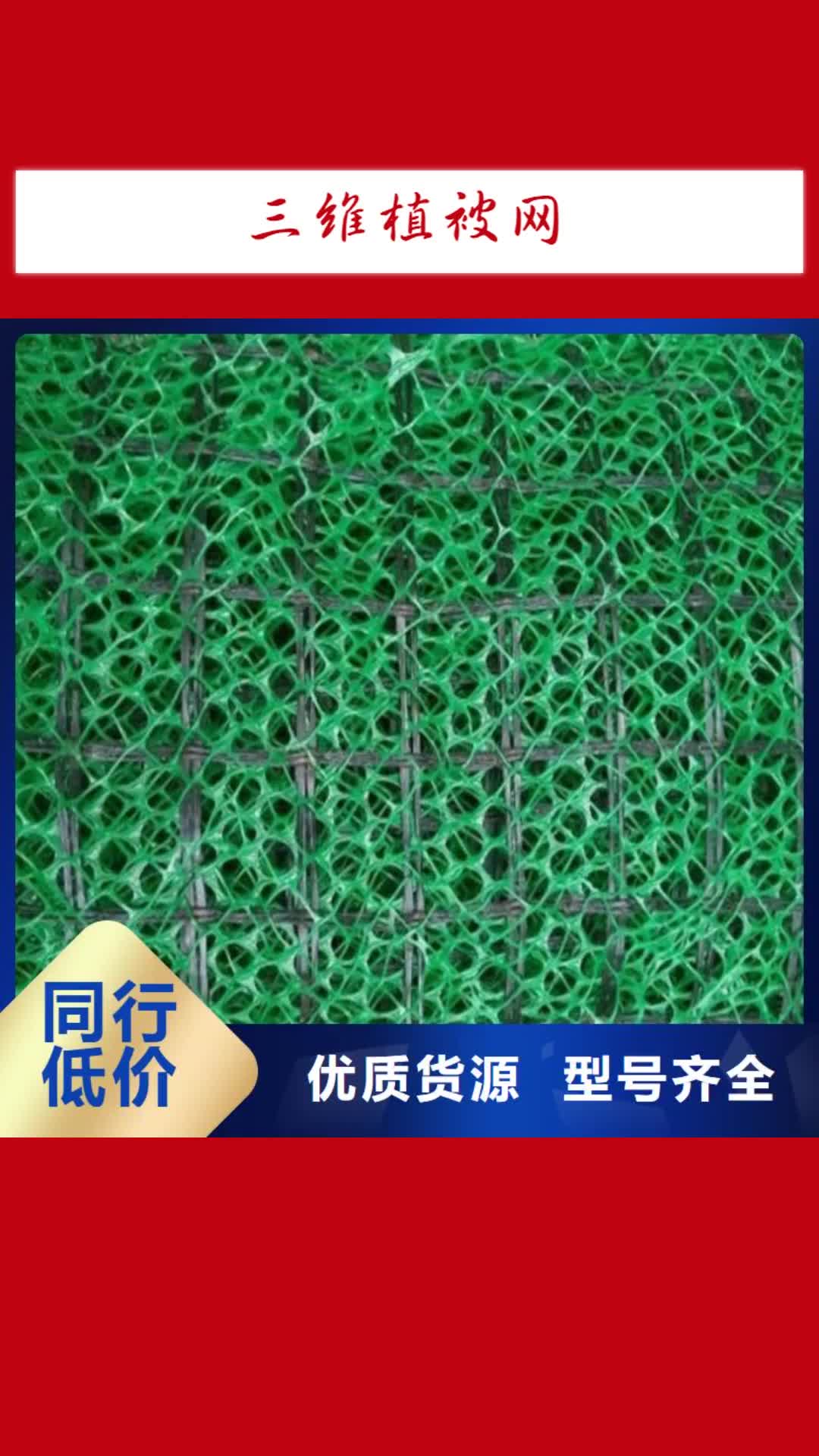 【上饶 三维植被网_聚丙烯双拉土工格栅一周内发货】