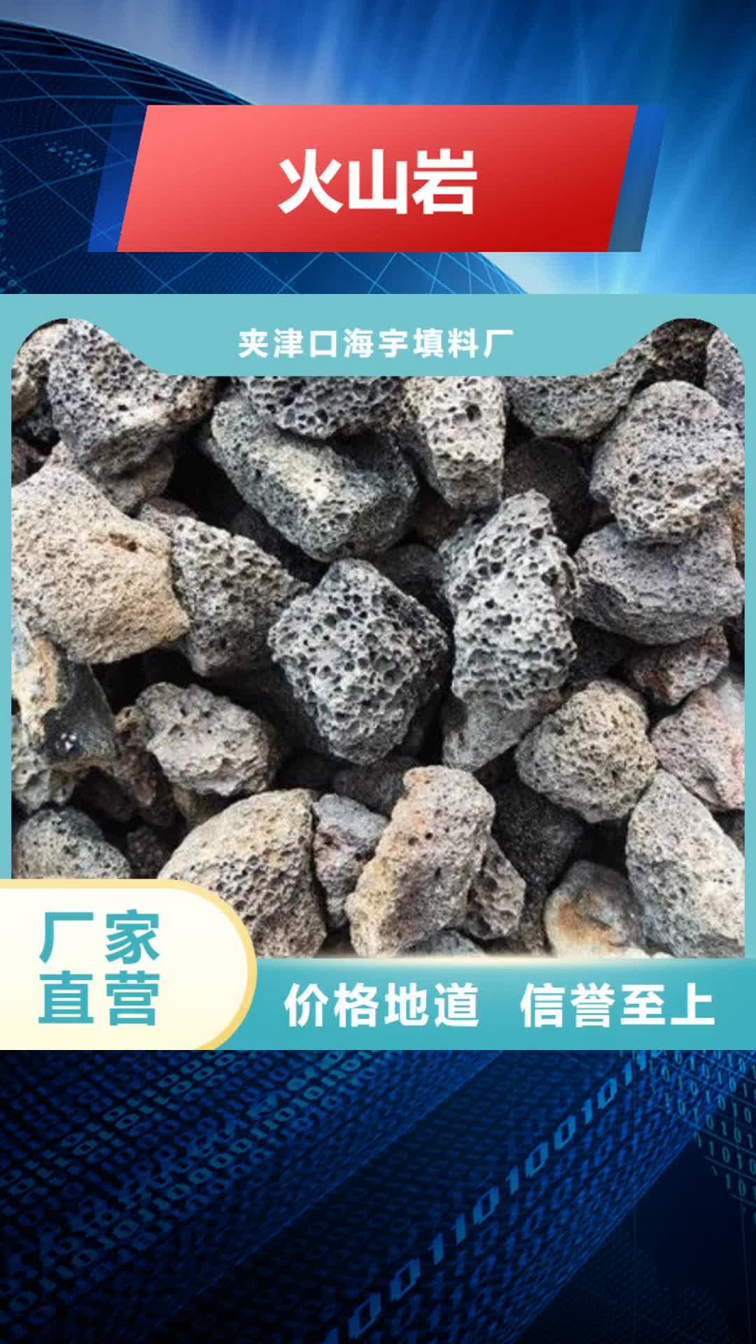 乐山 火山岩,【果壳滤料】可定制有保障