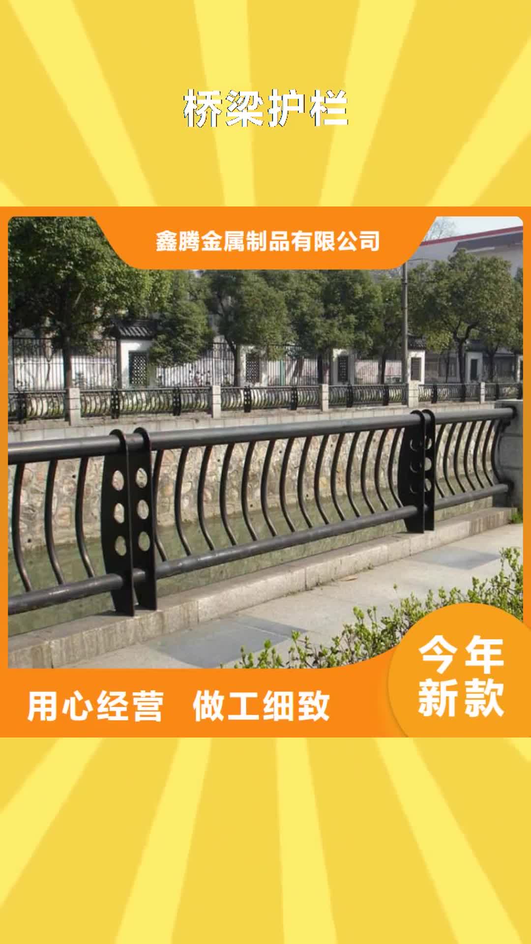 阳江 桥梁护栏【景观河道护栏】设计制造销售服务一体