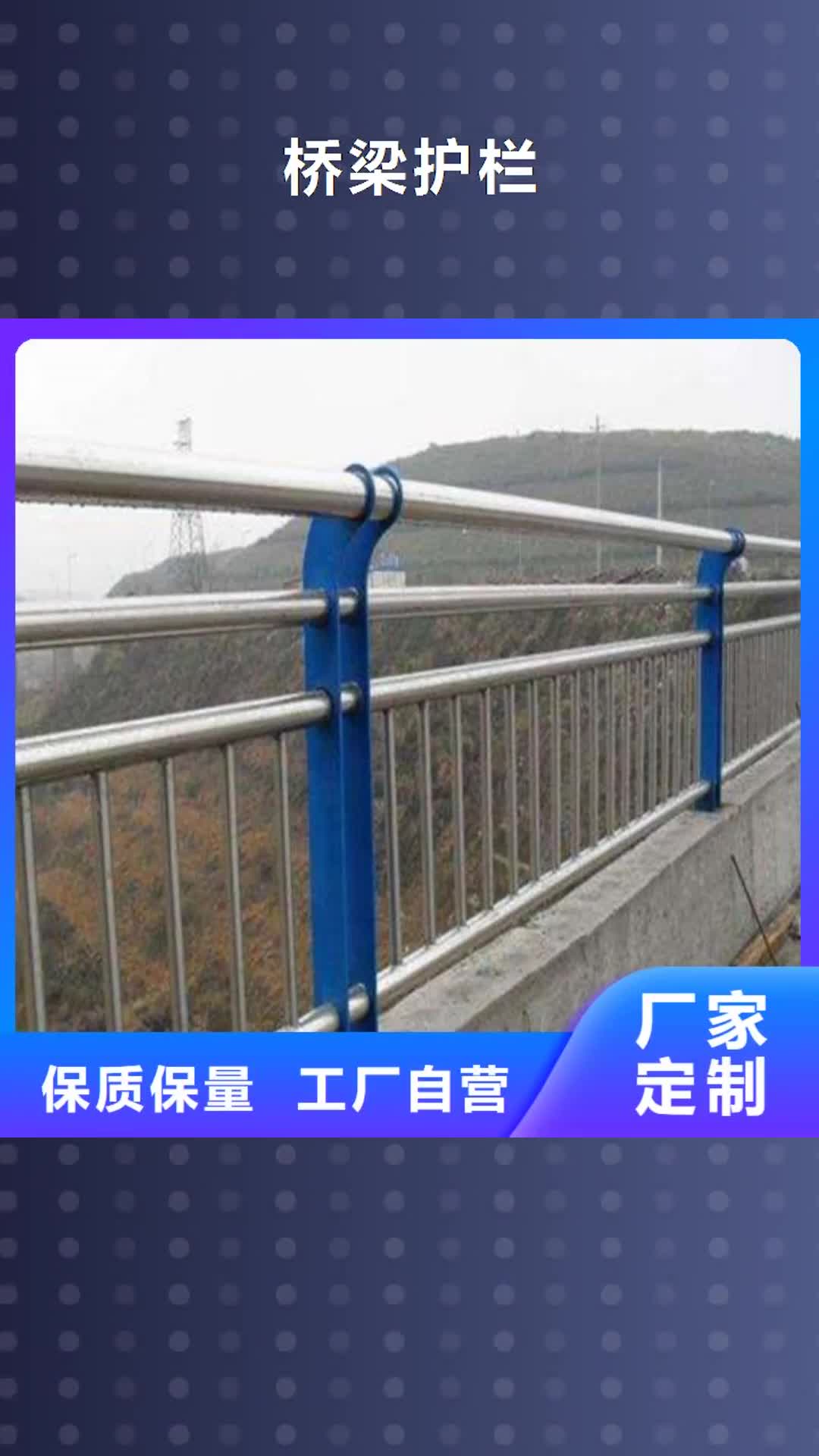 河池 桥梁护栏 【防撞护栏厂家】用心制作
