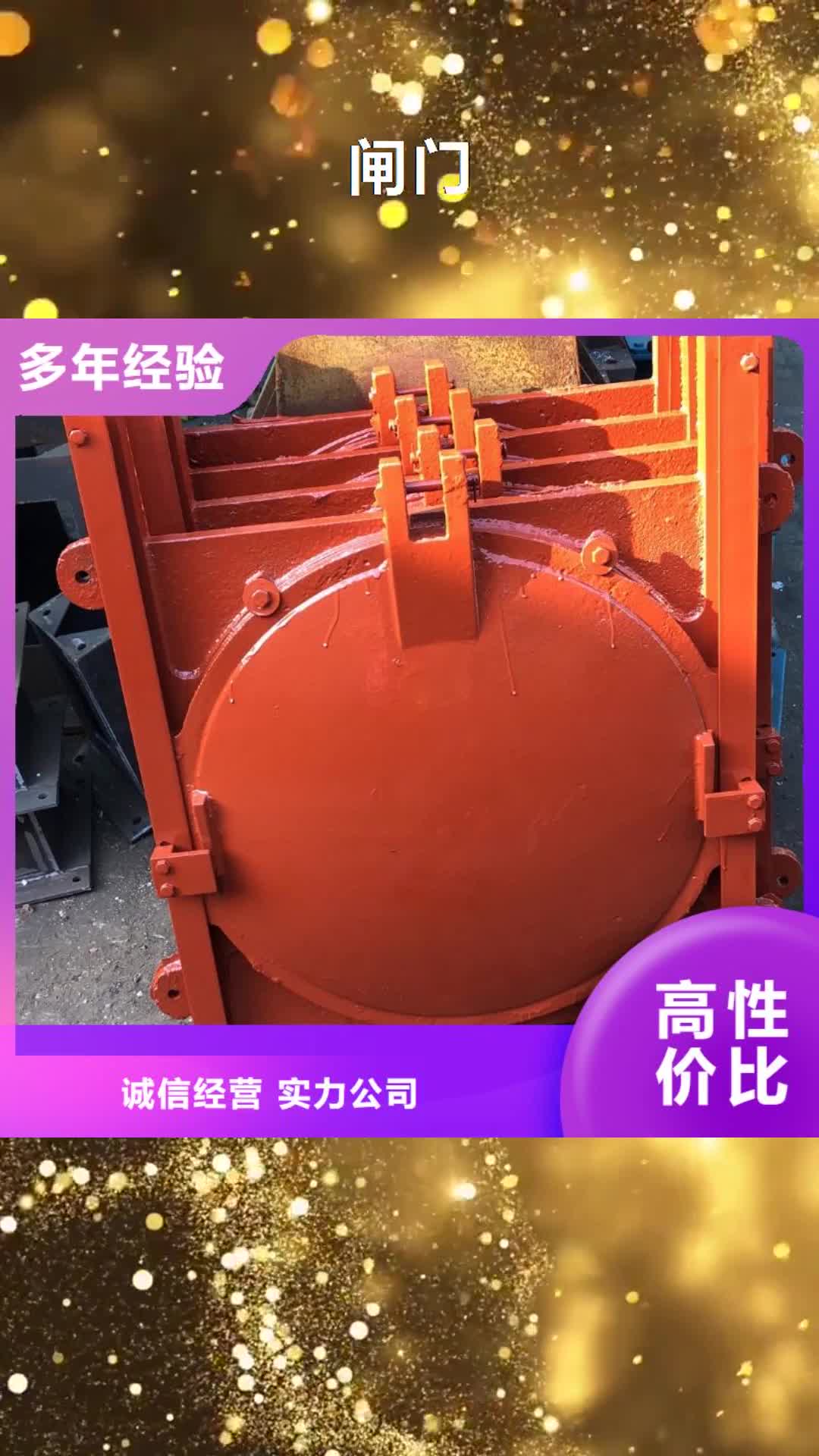 【宁夏 闸门 铸铁闸门加工定制】