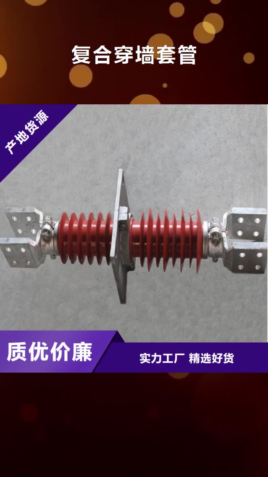 迪庆复合穿墙套管真空断路器厂家实力雄厚