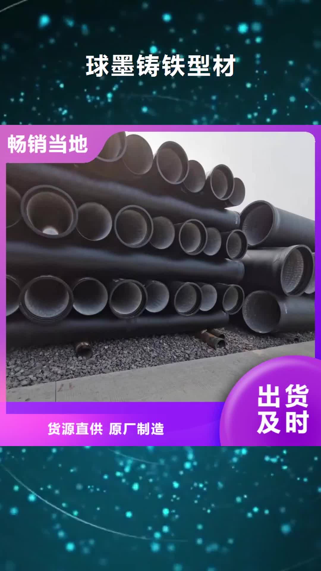 【广安球墨铸铁型材球墨铸铁棒生产厂家】