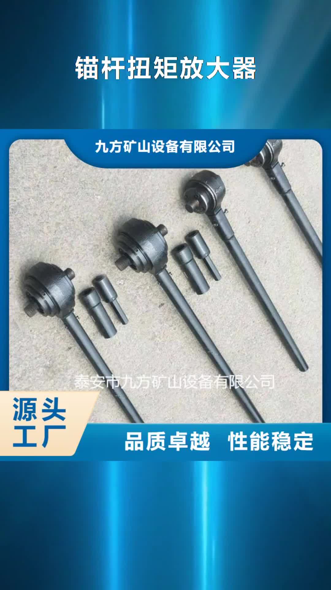 【广西 锚杆扭矩放大器矿用锚杆应力传感器品质过硬】