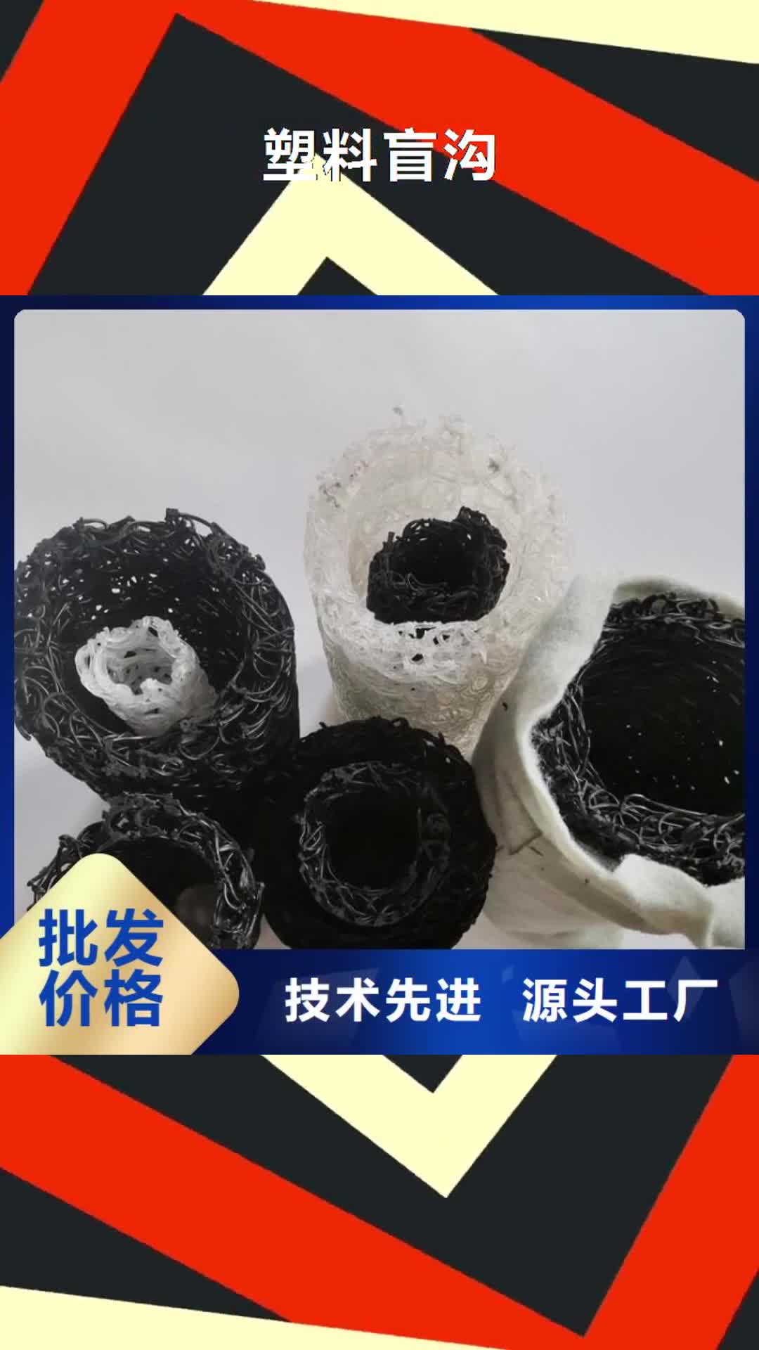湖南 塑料盲沟_【土工格栅】质量优价格低