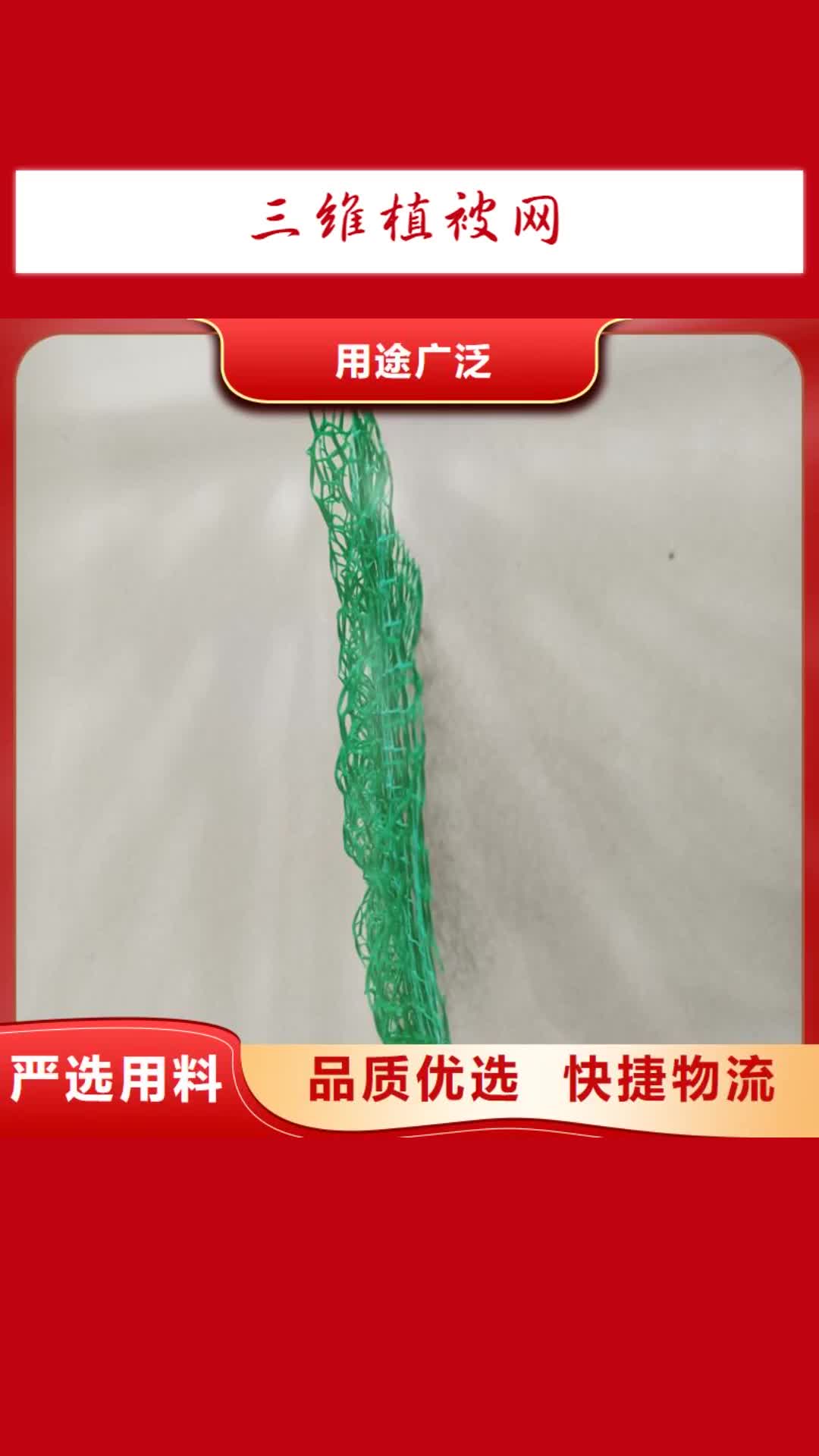 揭阳【三维植被网】-土工膜专业的生产厂家