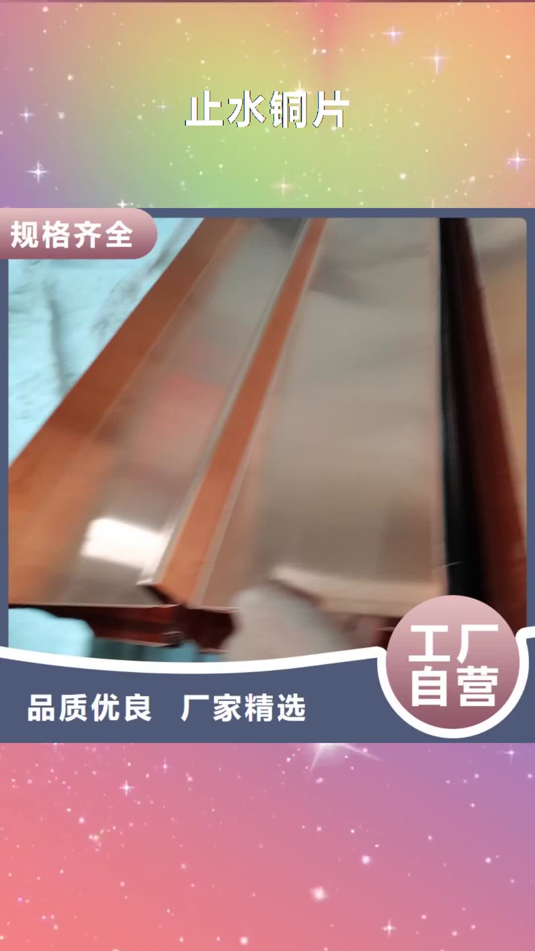 福州【止水铜片】-土工膜一站式采购商家