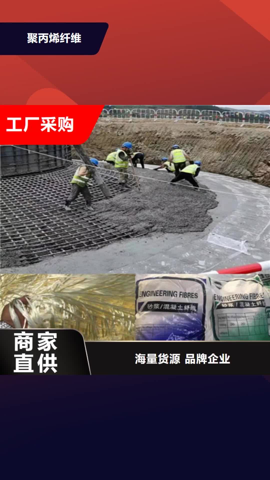 大理 聚丙烯纤维【土工格栅】厂家直销安全放心