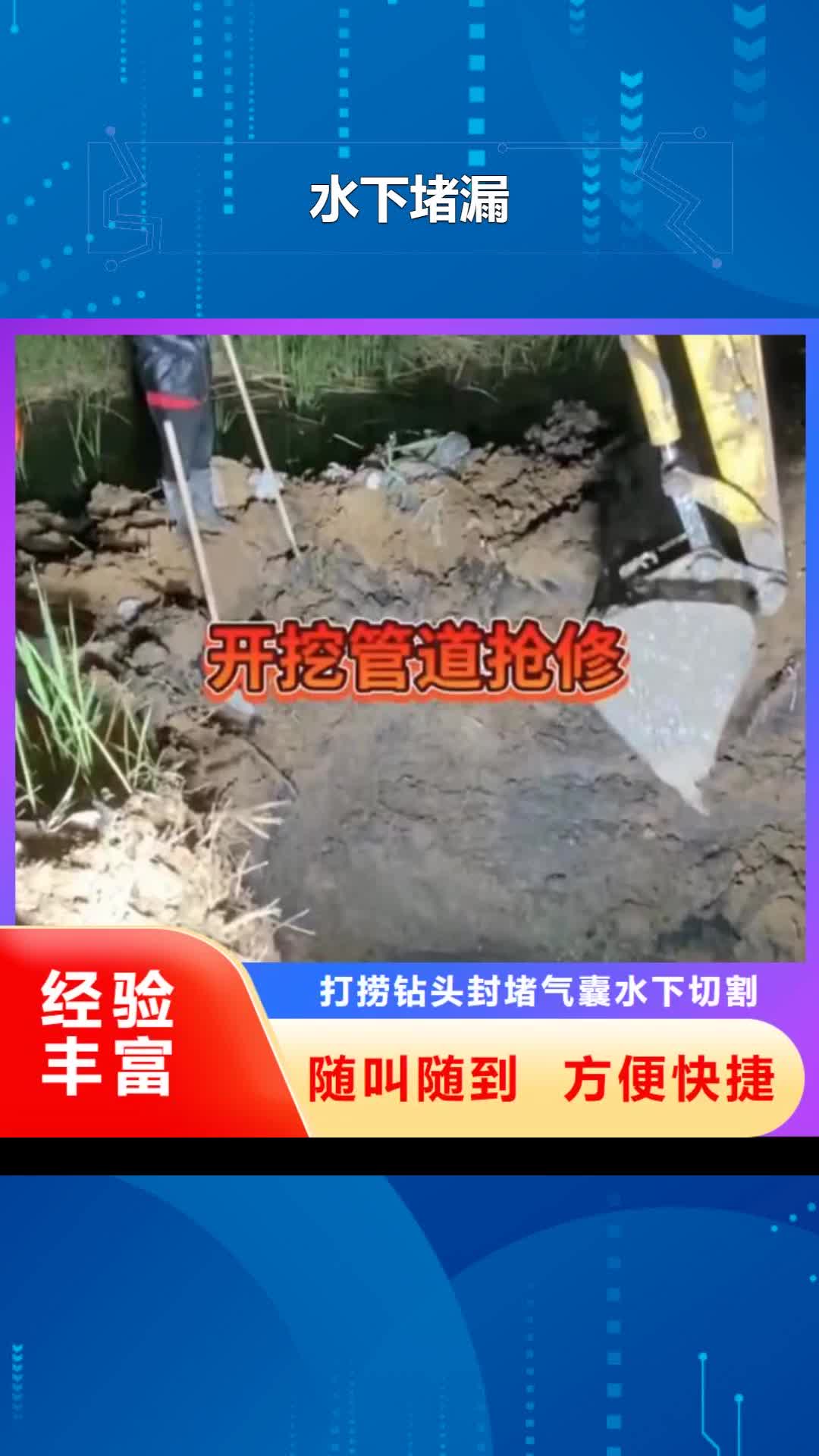 【湛江 水下堵漏水下爆破团队注重质量】