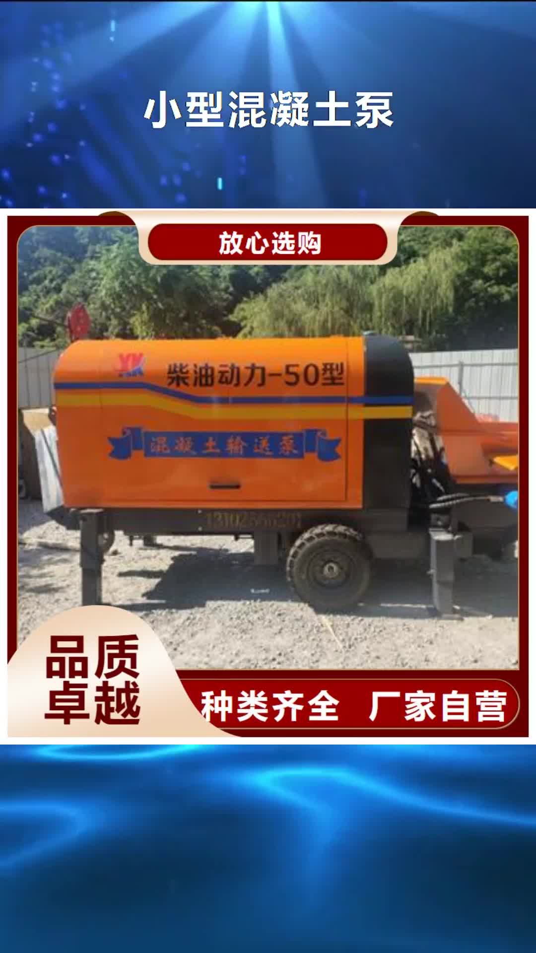 黄南【小型混凝土泵】_二次构造柱泵现货采购