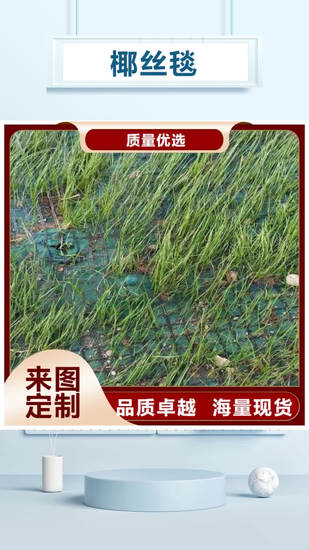 海西 椰丝毯_【土工格栅】敢与同行比服务