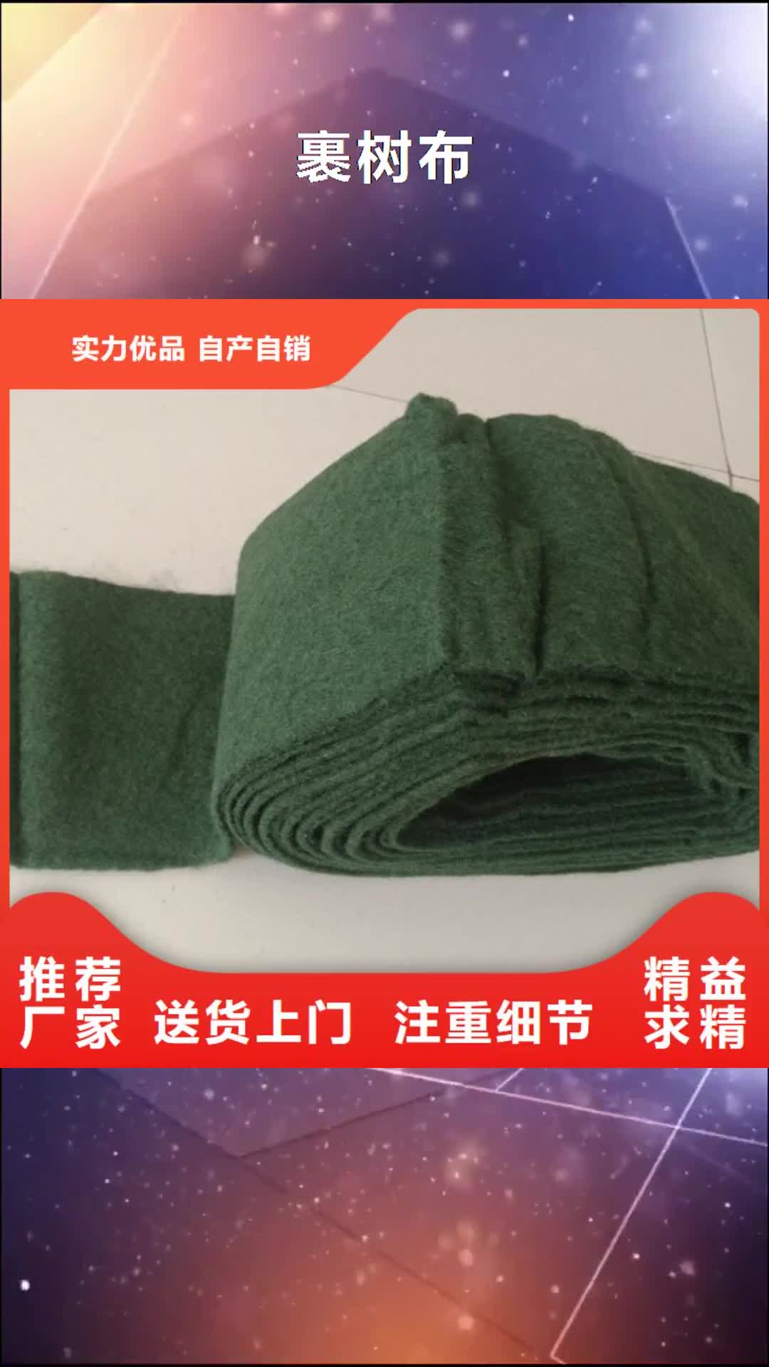 晋城【裹树布】-双向塑料土工格栅无中间商厂家直销