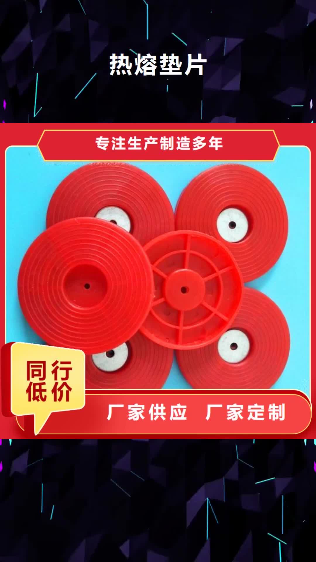 普洱【热熔垫片】-三维植被网发货及时