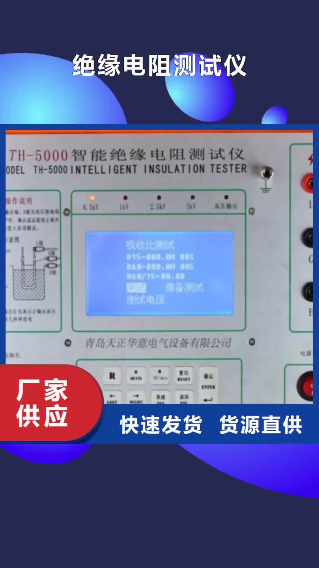 【青海 绝缘电阻测试仪便携式故障录波仪厂家定制】