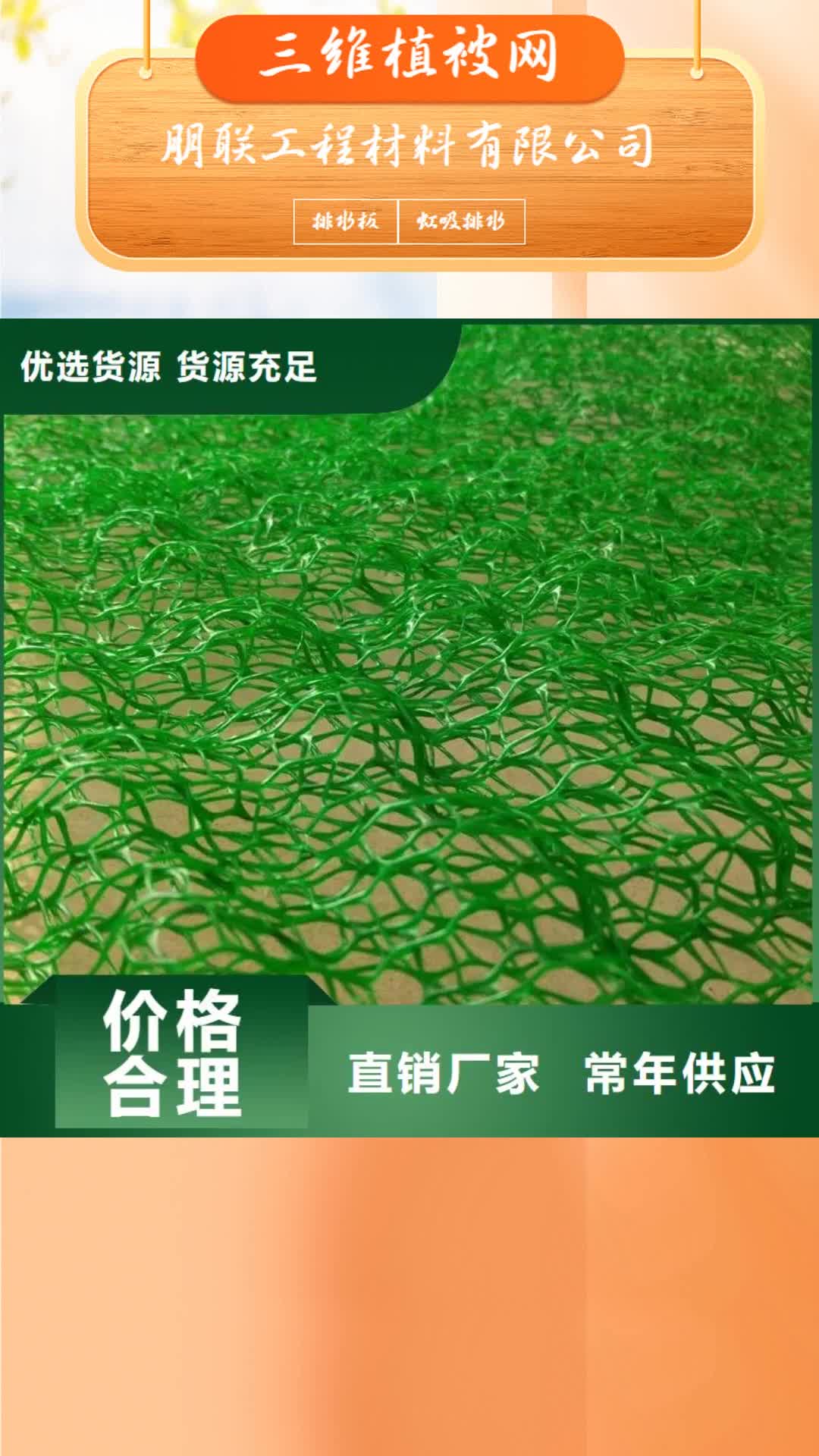 承德 三维植被网-【 植草格】高质量高信誉