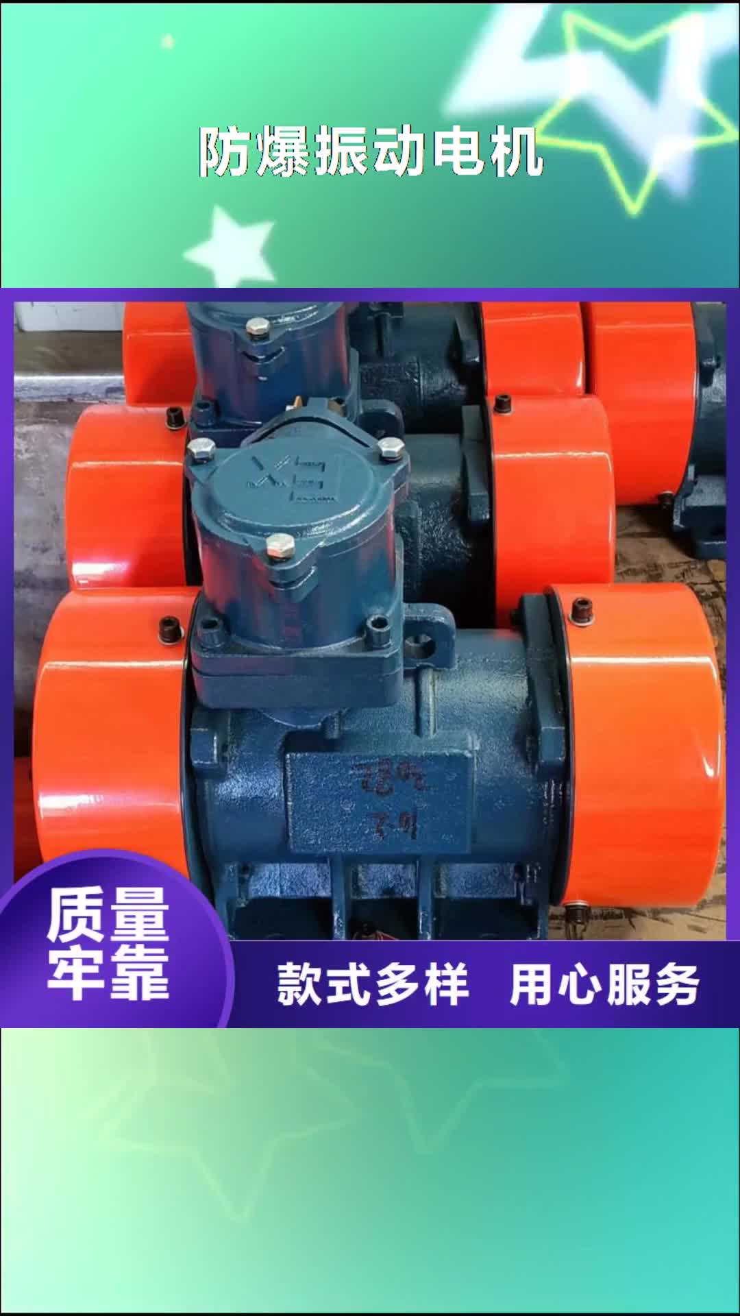 【晋中 防爆振动电机-仓壁振动器质优价廉】