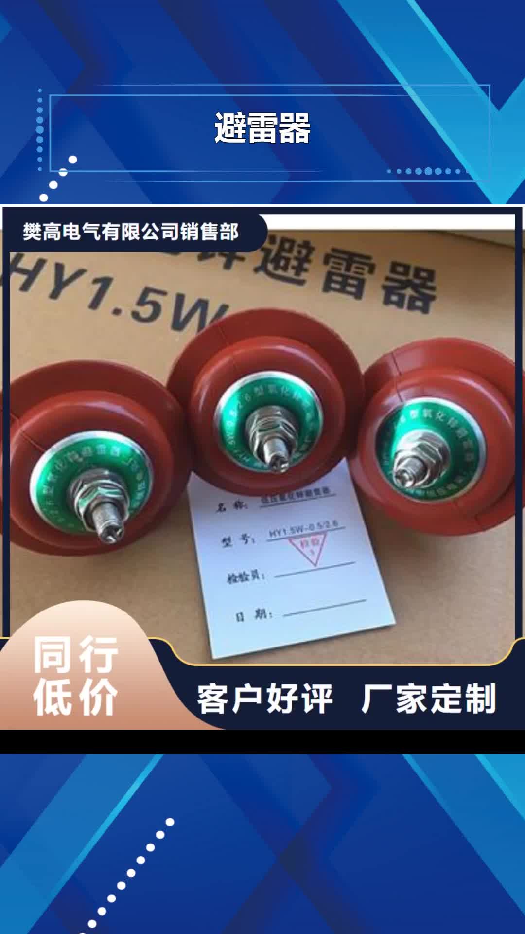 韶关避雷器绝缘子实力工厂