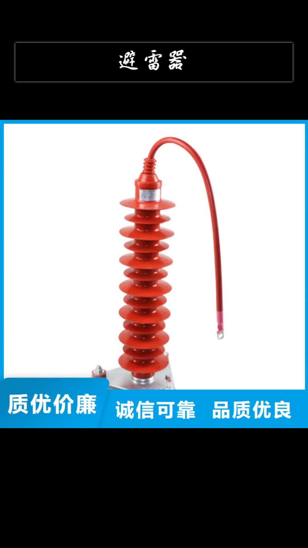 扬州避雷器跌落式熔断器品质服务诚信为本
