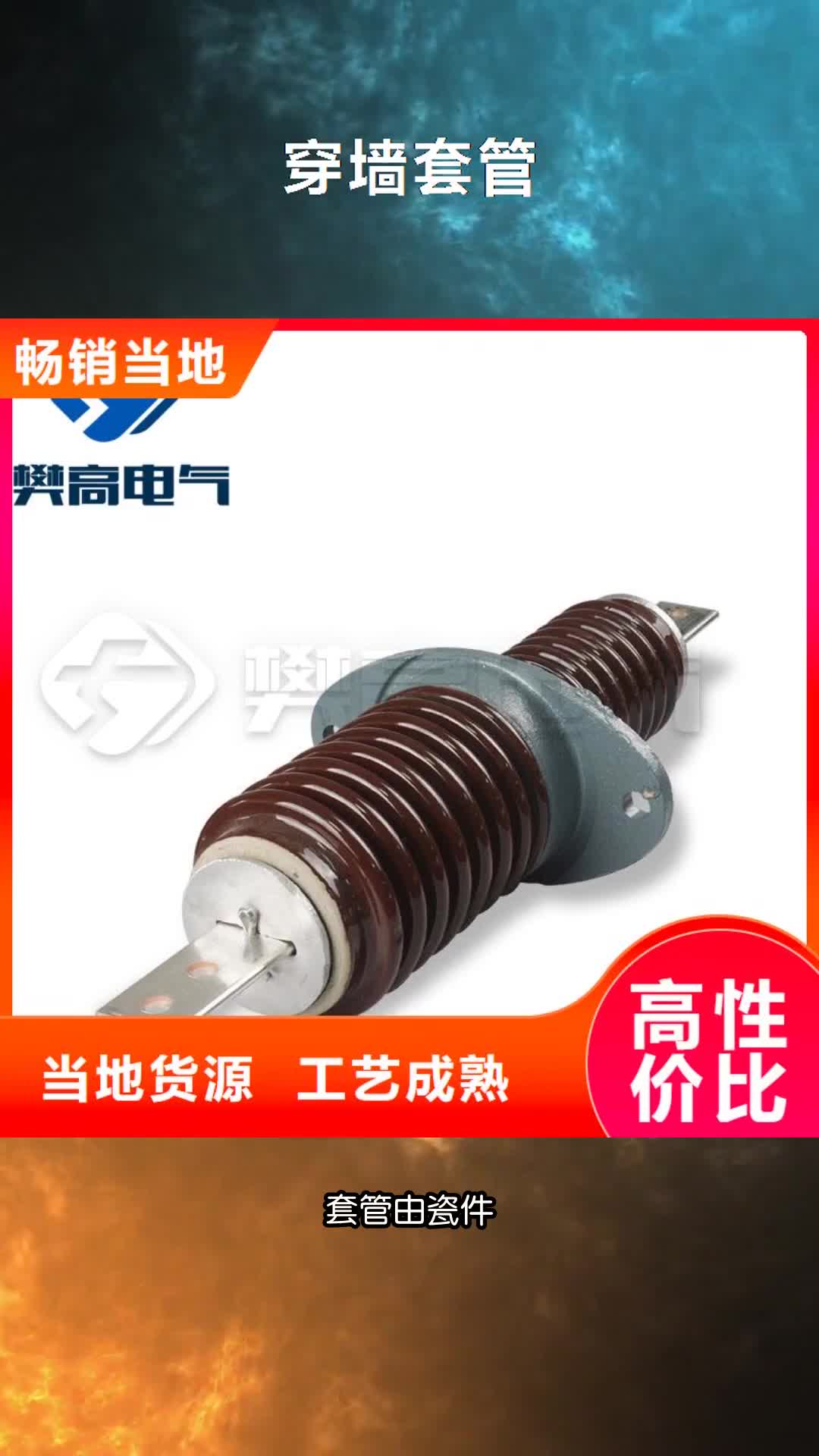 河源穿墙套管限流熔断器品质做服务