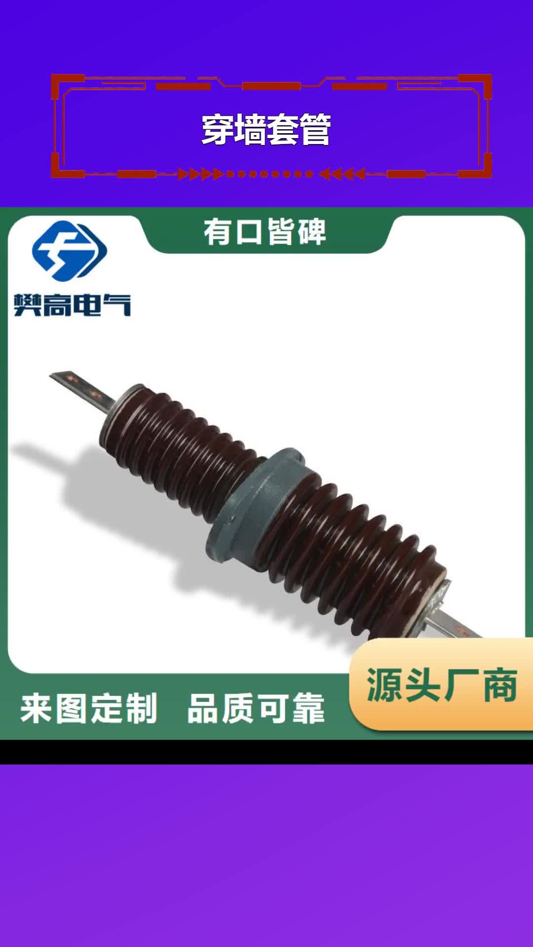 芜湖穿墙套管绝缘子颜色尺寸款式定制
