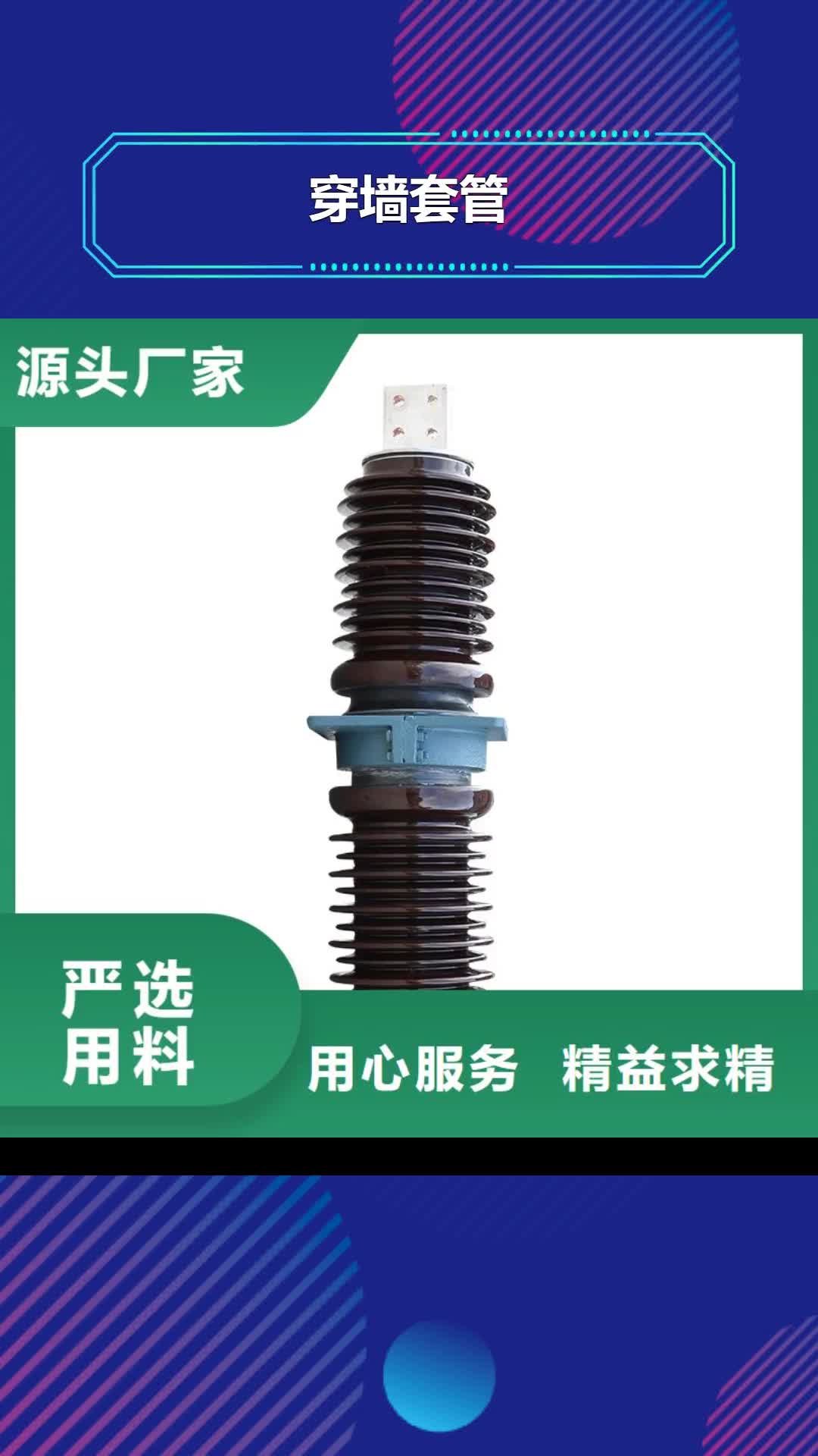 眉山 穿墙套管,【跌落式熔断器】可定制