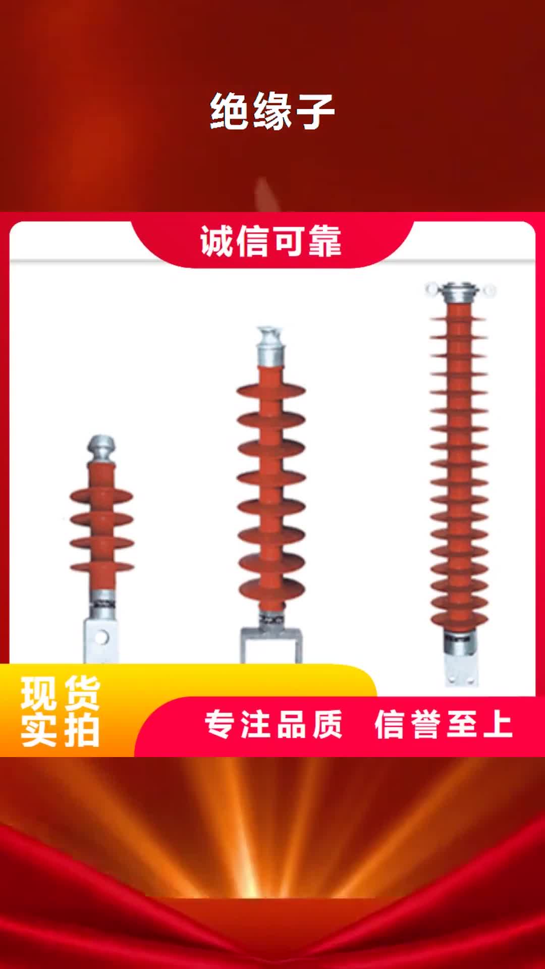 泰州绝缘子 【穿墙套管】匠心品质