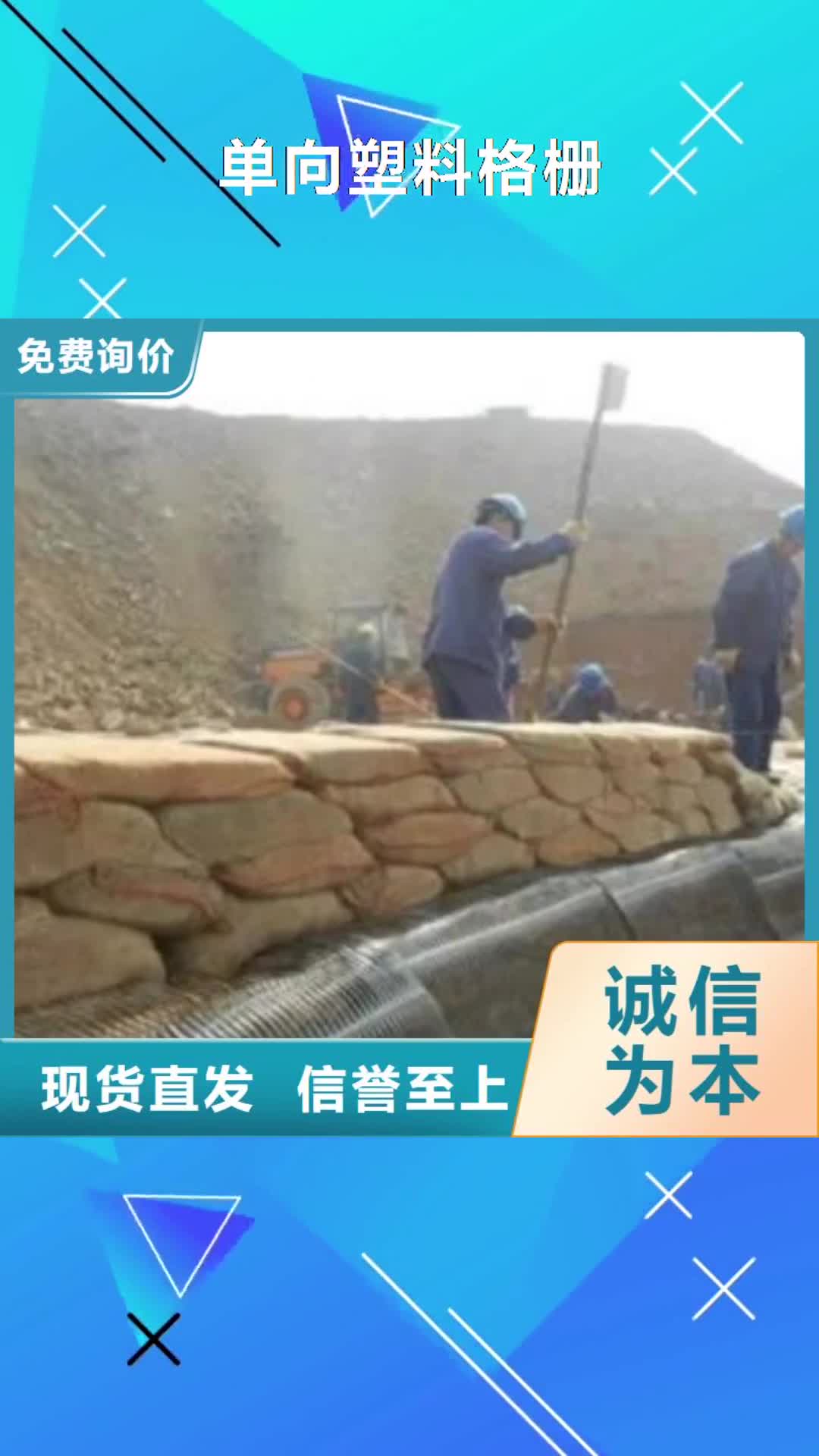 信阳【单向塑料格栅】 钢塑土工格栅通过国家检测