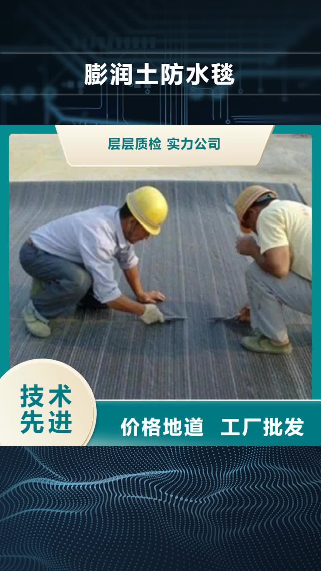【潍坊 膨润土防水毯货品齐全】